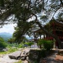 황석산장식당 이미지