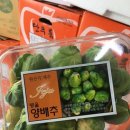 (주)테라팜 네이버블로그