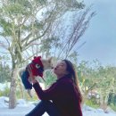 아우성회센터 이미지