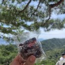 오복떡집 - 광산구 광산로30번길 37 | 오복떡집