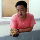 지장농장 오마이뉴스