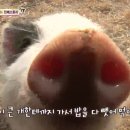 민지농장 이미지