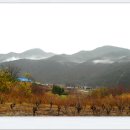 소나무(산촌마을) 이미지