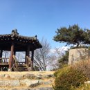 원수산 누리길 | 세종시 등산코스 금병산