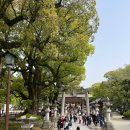 2023年 4月 후쿠오카 여행記 (中)