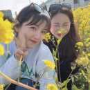 트로피컬하이드어웨이 이미지