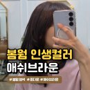 웜브라운 | 성신여대 미용실 추천｜봄웜톤 애쉬브라운 염색 후기