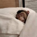 대운한방병원 | 자궁용종제거수술과 부작용과 사주