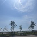 에스모텔 | [국내 여행/서울 근처] 오이도 해변 브라운도트 거북섬점 솔직한 숙박 후기!