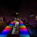 지에스칼텍스(주)바다주유소 | 고령 대가야수목원 눈 내리는 빛의 숲 고령축제 후기