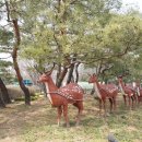 산본중앙공원 이미지