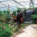 청양고추문화마을 이미지