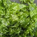 국립수산과학원 이미지