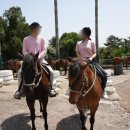 새별수산 이미지