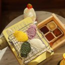 제주하다 이미지