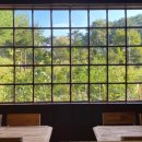 정희애견 이미지