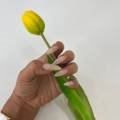 제이제이붙임머리(JJ)