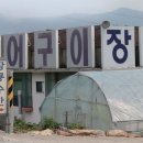 장룡 이미지
