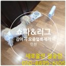 휴먼시아명품세탁 | 어진마을 한화꿈에그린 캄포쇼파세탁,삼단매트리스,의자세척,카페트세탁청소업체 패브릭소파 및 카펫트...