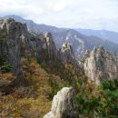 집합주유소 이미지