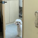 멍풀하우스 이미지