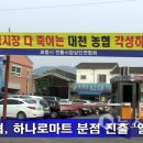 대천농협하나로마트 이미지