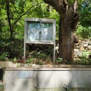 새구봉천 이미지