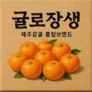 천해향