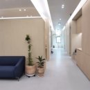 트로피피부과의원 이미지