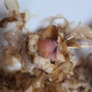 타코야퀸 | [서원역 맛집 / 타코야퀸 신림타코야끼 파는 곳 후기]