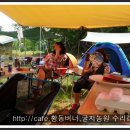 굴지농원 이미지