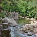 정기나무골 이미지