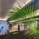 고릴라짐 광교1호점 이미지