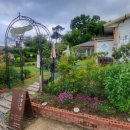 수향오리 이미지