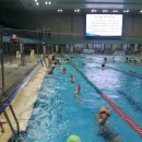 대한적십자사 경북지사 이미지