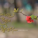 멋진하루 이미지