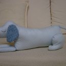 도도한강아지 이미지