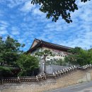서울공연예술연습공간 리딩룸2 | [서울 성북동] 도심 속 전통 문화예술공간 '삼청각' 리얼 방문 후기