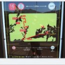 팔공산 둘레길 16구간 이미지