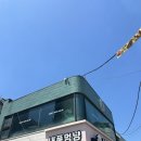 묭실:살롱 | [서울/노원] 노원 미용실 추천 래빗홈살롱 뿌리매직 후기