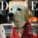 도그(DOGUE) 이미지