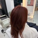 동탄미용실 레이어드컷 &amp; 핑크오렌지 염색 성공 🙂 씨드온헤어 동탄영천점 후기