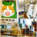 화곡 3-1 공영주차장 | 마을산책 2부 - 양천구 서울형책방 &lt;새벽감성1집&gt;