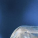 메인의원 이미지