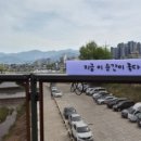 한라비발디 이팝나무 | 옛 중앙선의 변신, 걷기좋은 치악산바람길숲