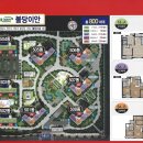 용인대부자태권도장 이미지