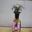 임실군민회관 이미지