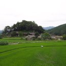 소로1리 이미지