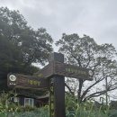 전북 임실 고덕산(625m)을 고덕마을주차장에서 이미지