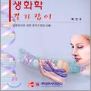 길라잡이솔루션